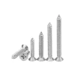 Assorted lengths of stainless steel self-tapping wood screws with Phillips countersunk heads, arranged standing and lying on white